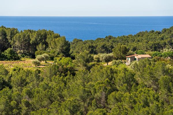 Vente Maison de luxe Saint-Cyr-sur-Mer 5 Pièces 118 m²