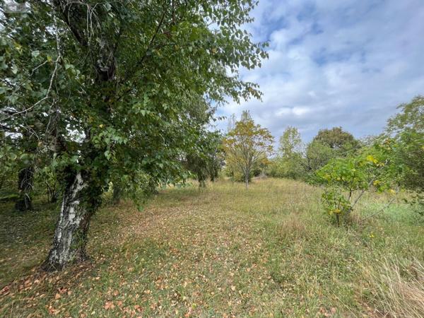 Maison individuelle à vendre à Saint-Maur dans l'Indre (36250), ref : 36004/224
