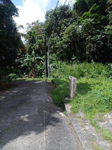 Urgent à vendre terrain de 3030m² dont 1000m² de constructible à Morne Pitault.