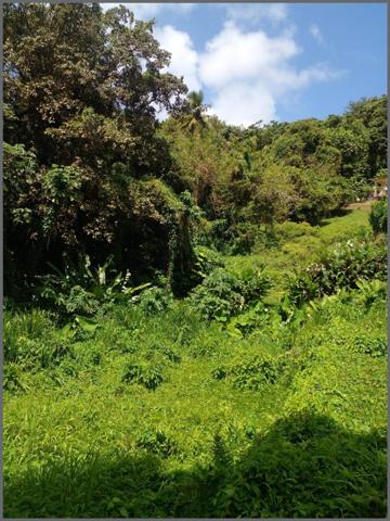 Urgent à vendre terrain de 3030m² dont 1000m² de constructible à Morne Pitault.