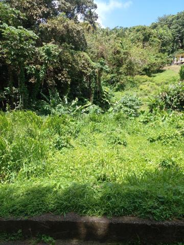 Urgent à vendre terrain de 3030m² dont 1000m² de constructible à Morne Pitault.