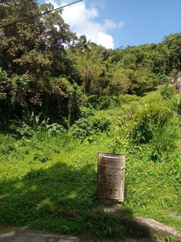 Urgent à vendre terrain de 3030m² dont 1000m² de constructible à Morne Pitault.