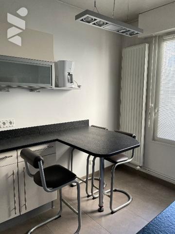 appartement F 2 Nancy centre avec jardin privatif ,parking et cave