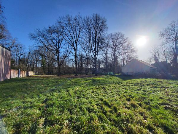 Terrain à bâtir avec châlet en bois