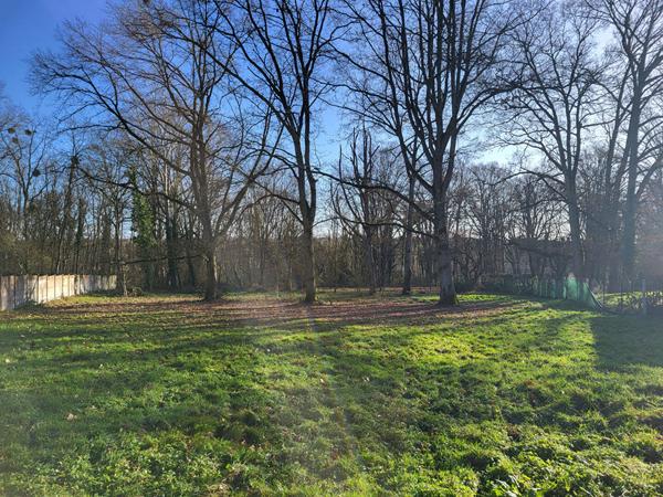 Terrain à bâtir avec châlet en bois