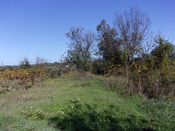 Terrain de loisirs Saint Pons De Mauchiens 2300 m2, 16990