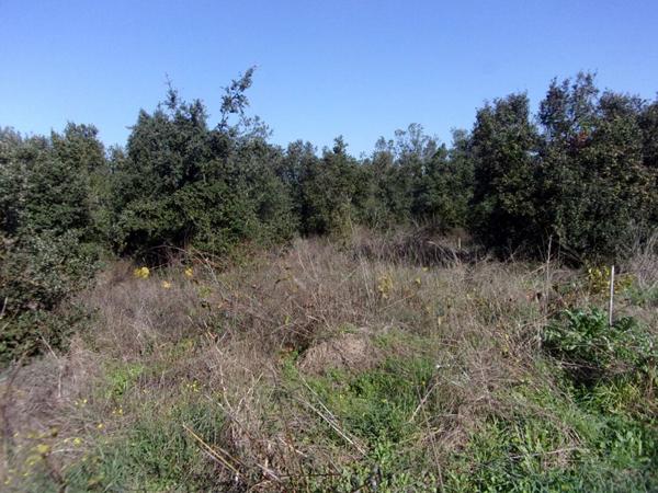 Terrain de loisirs Saint Pons De Mauchiens 2300 m2, 16990