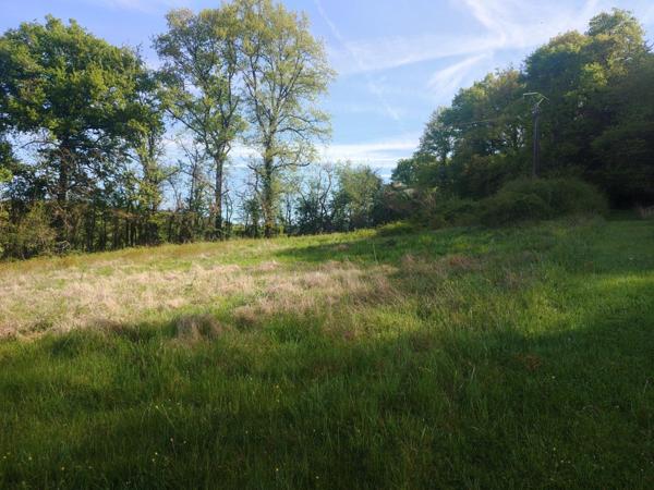 Terrain constructible d'environ 1350 m2