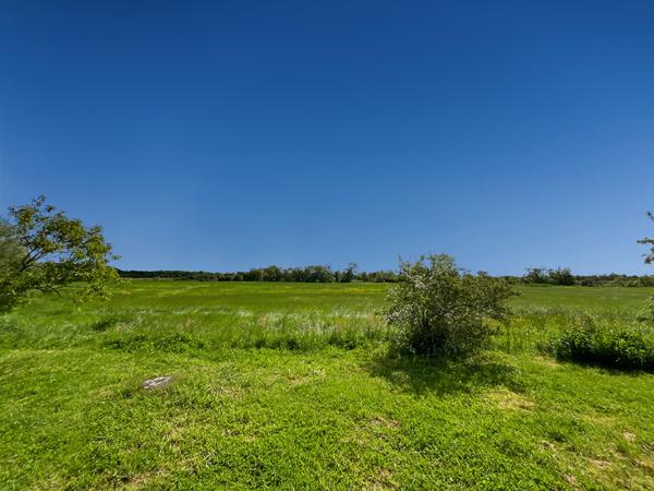 Maison Sallertaine