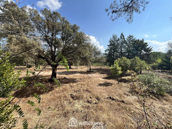 Maison 181 m² à Moltifao 20218