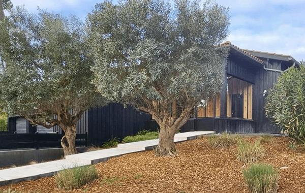 Ravissante villa bois, Golf de Biscarrosse, 5 chambres, piscine chauffée, sur terrain de 1112 m2
