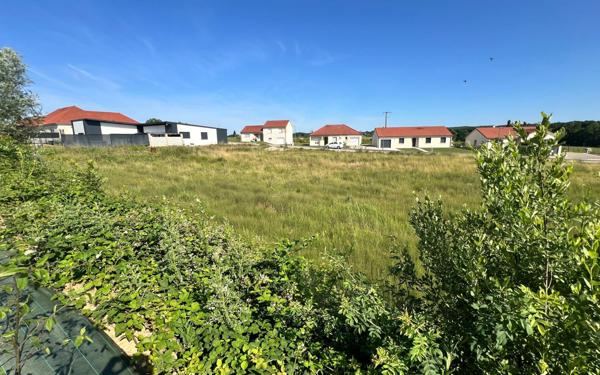 Terrain à vendre    Baudonvilliers