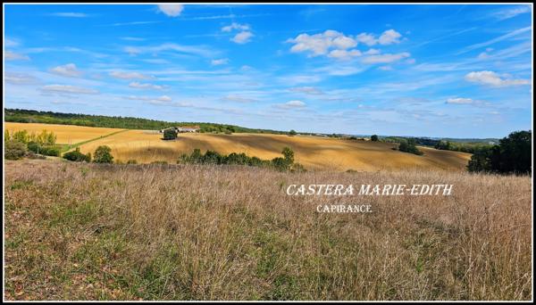 Propriete à vendre-Maison 7 pièces + bâtiments- 85,61 HECTARES proche de VIC FEZENSAC (32)