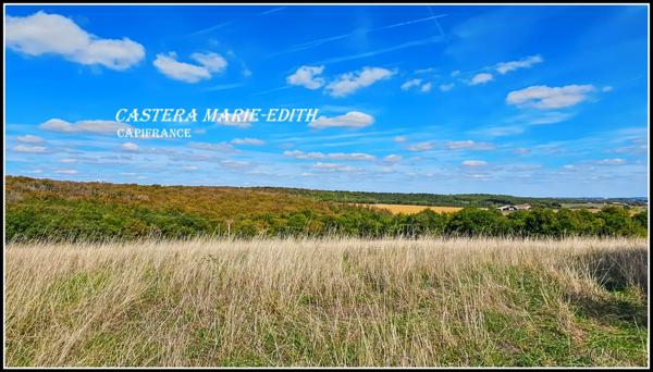 Propriete à vendre-Maison 7 pièces + bâtiments- 85,61 HECTARES proche de VIC FEZENSAC (32)