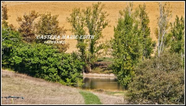 Propriete à vendre-Maison 7 pièces + bâtiments- 85,61 HECTARES proche de VIC FEZENSAC (32)