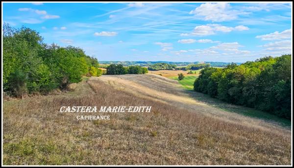 Propriete à vendre-Maison 7 pièces + bâtiments- 85,61 HECTARES proche de VIC FEZENSAC (32)