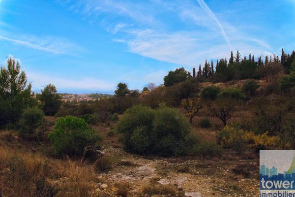 Terrain 905m²- Salles-d'Aude – vue dégagée sur la pinède