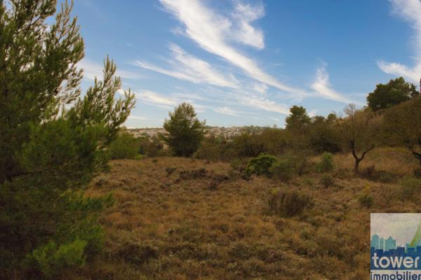 Terrain 905m²- Salles-d'Aude – vue dégagée sur la pinède
