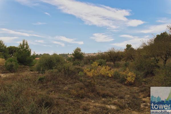 Terrain 905m²- Salles-d'Aude – vue dégagée sur la pinède