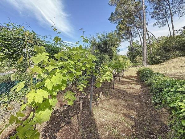 A VENDRE ! EXCLUSIVITÉ-Maison Le Cannet Des Maures 6 pièces 156 m2-Terrain 3580m2- Piscine,Carport,sous-sol