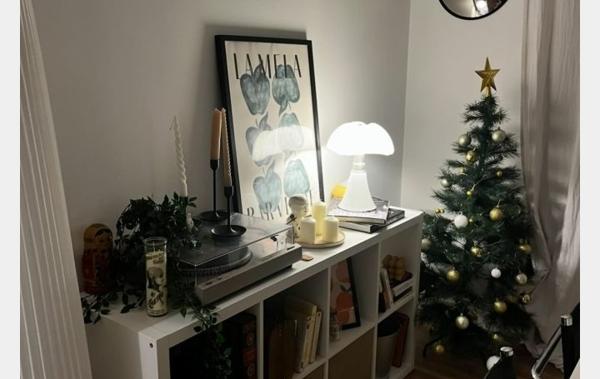 Vente Appartement P3 rénové(e) Pau