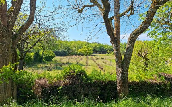 Maison à vendre    6 pièces •  Rians