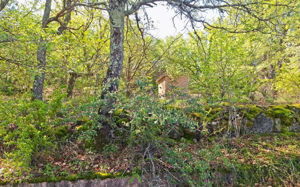 Maison à vendre    6 pièces •  Rians