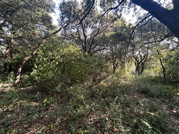 TERRAIN À BÂTIR DE 1 390 M² SUPERBE ENVIRONNEMENT ET VUE DÉGAGÉE