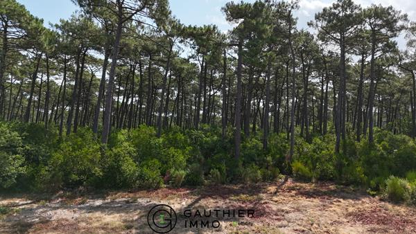 Maison 5 pièces - 175 m² Bien prestige