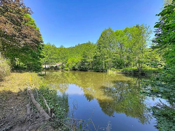 Espace de loisirs à Allarmont Allarmont Espace de loisirs à Allarmont Allarmont