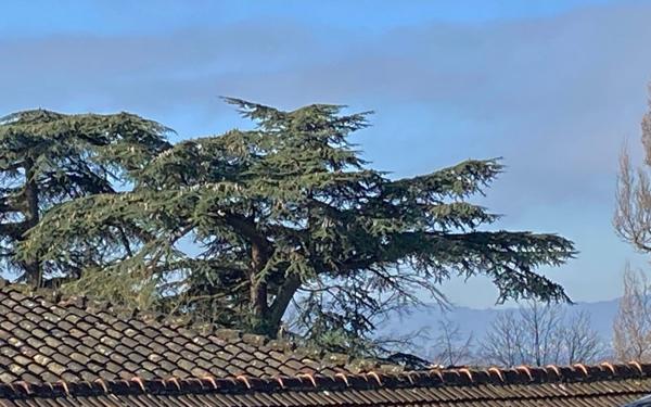 Appartement à vendre    5 pièces • 114,05 m2 Sainte-Foy-lès-Lyon