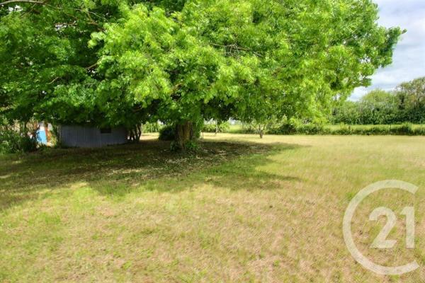 Maison à vendre  4 pièces - 45,04 m2 MOREE - 41