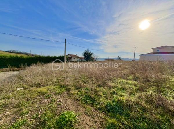 Lotissement de 482 m²