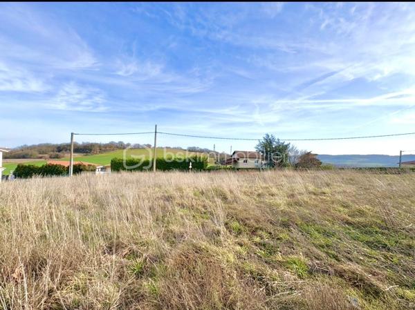 Lotissement de 482 m²