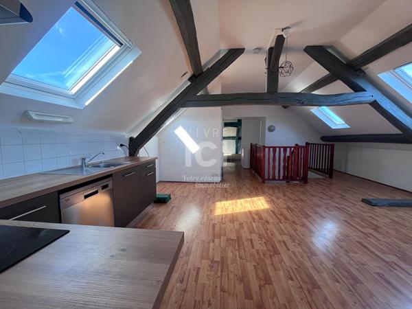 À LOUER DUPLEX T3 AVEC VUE SUR LA LOIRE 86m² au sol