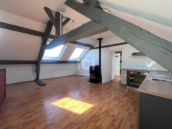 À LOUER DUPLEX T3 AVEC VUE SUR LA LOIRE 86m² au sol
