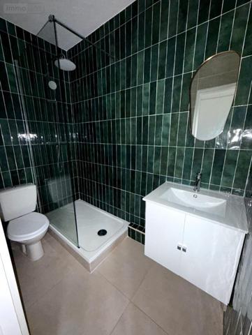 Immeuble à vendre à Le Mans dans la Sarthe (72000), ref : 72010-1951