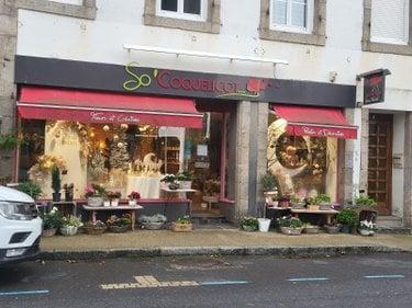 Local Professionnel et commercial à vendre à Roscoff dans le Finistère (29680), ref : 29105/49 roscoff