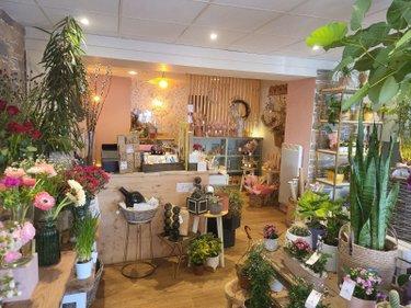 Local Professionnel et commercial à vendre à Roscoff dans le Finistère (29680), ref : 29105/49 roscoff