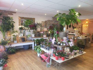 Local Professionnel et commercial à vendre à Roscoff dans le Finistère (29680), ref : 29105/49 roscoff