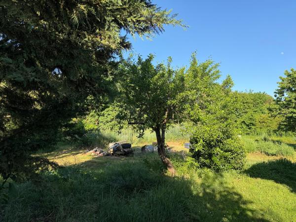 Belle maison familiale dans le secteur prisé de Capou à Montauban