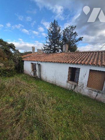 SAINT JULIEN DE CONCELLES maison de bords Loire sur terrain de 1038m²