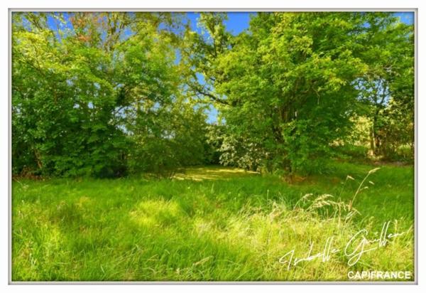 Propriete à vendre 8 pièces TOUCHAY (18)