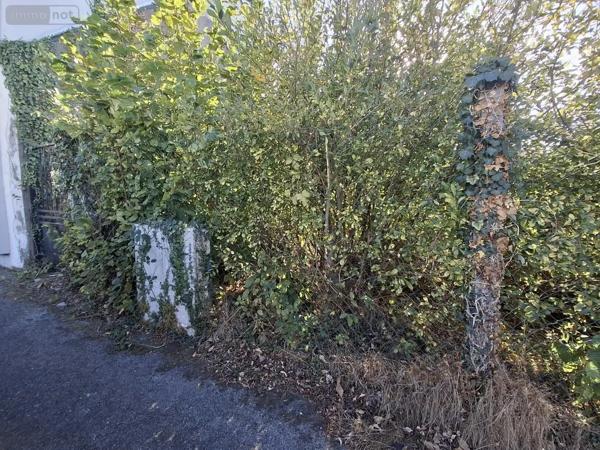 Achat - Terrain à bâtir Saint-Thuriau 56300 680 m 2