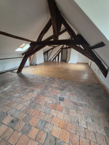 Hypercentre - maison bourgeoise, jardin, dépendances