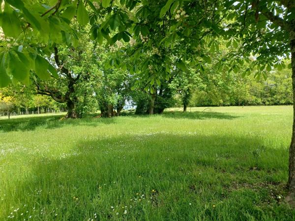 MAISON DE CAMPAGNE AVEC GRANGE ATTENANTE - PREAU - 1HA 96A 17CA