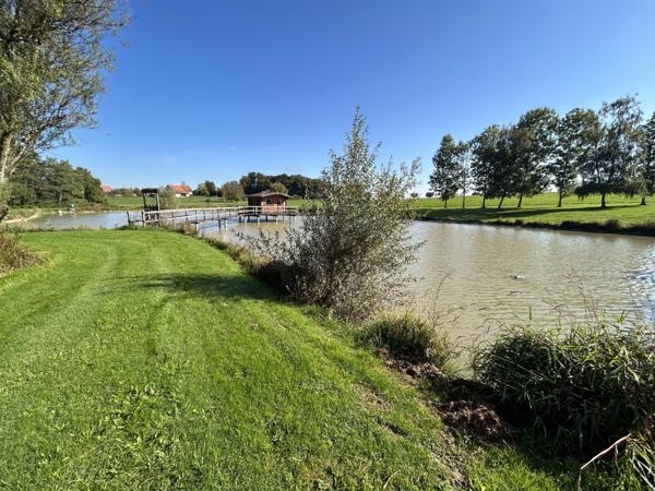 Lepuix-neuf, étang d'environ 40 ares sur un terrain d'environ 80 ares