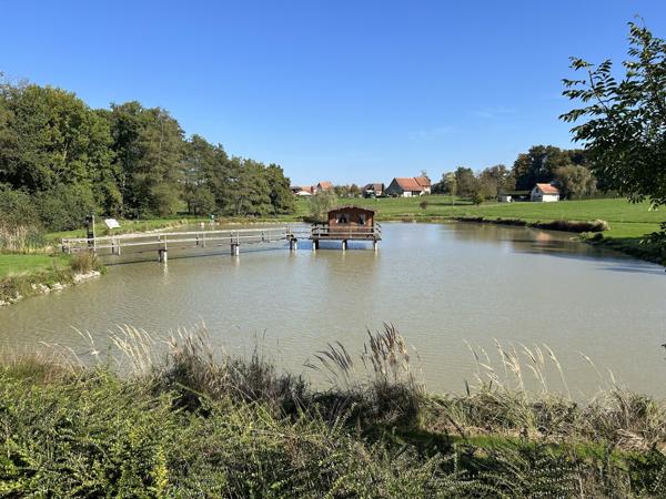 Lepuix-neuf, étang d'environ 40 ares sur un terrain d'environ 80 ares