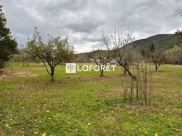 Achat terrain Céret - 6962 m² - 105 000 €