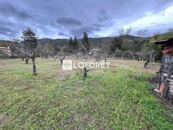 Achat terrain Céret - 6962 m² - 105 000 €